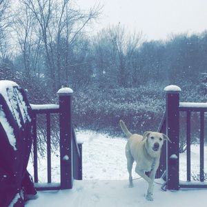 Meet your Posher, Brad